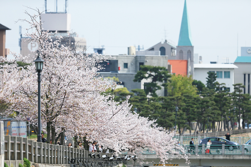 院内紹介 ゆかりメンタルクリニック 兵庫県 芦屋市 芦屋川駅 心療内科 精神科 神経科